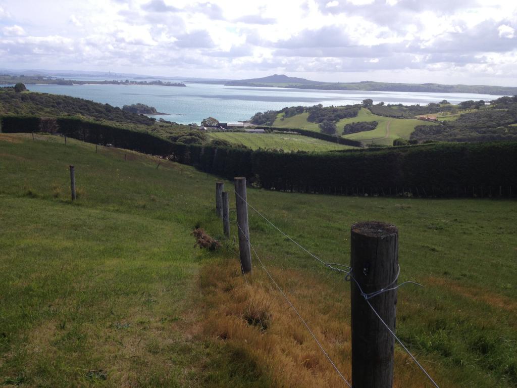 You are currently viewing Sightseeing in Auckland With the Ferry